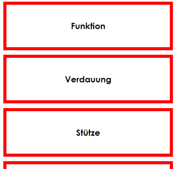 Körperfunktionen der Wirbeltierklassen